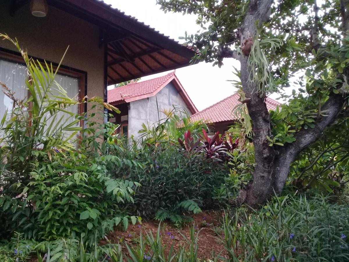 Eliska Sumberkima Pemuteran (Bali) Exterior photo